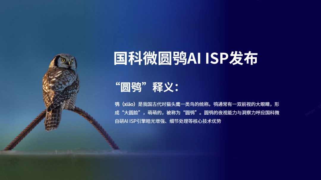 線上賭場:國科微推出 AI ISP 品牌“圓鴞”,首顆芯片已在安防行業得到應用