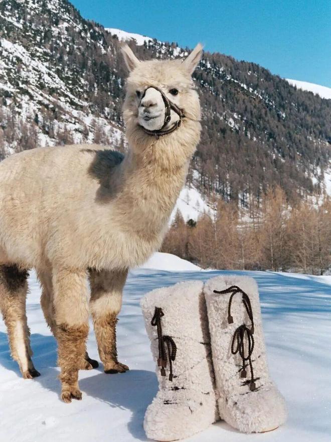 賭波：除了UGG，鼕天還能穿什麽？